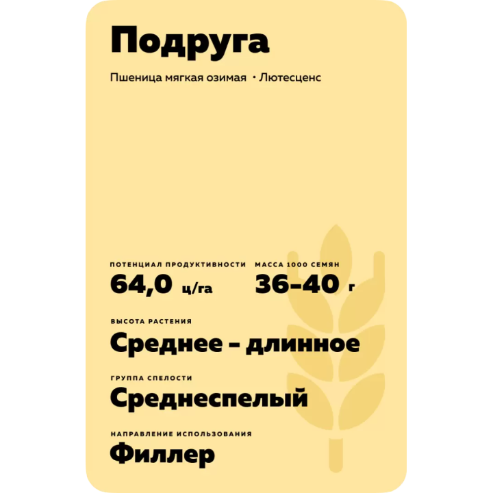 ПОДРУГА