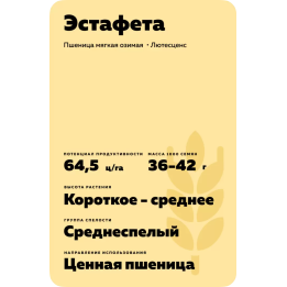 ЭСТАФЕТА