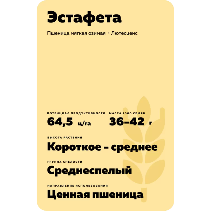 ЭСТАФЕТА