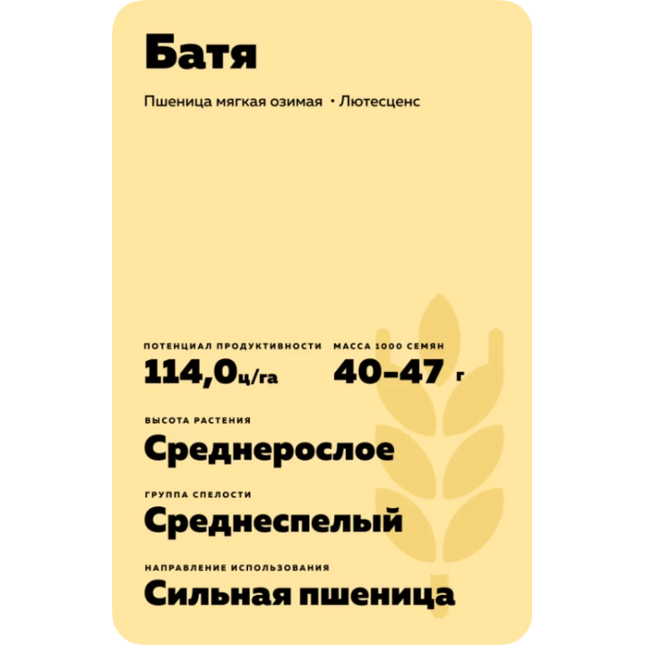БАТЯ
