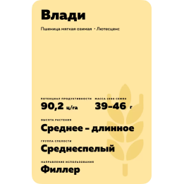 ВЛАДИ