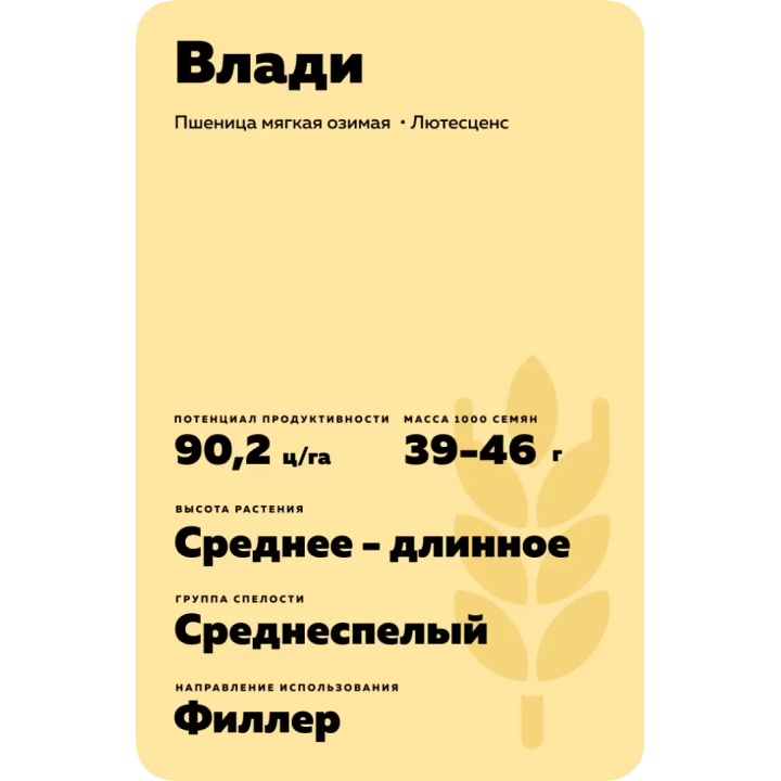 ВЛАДИ