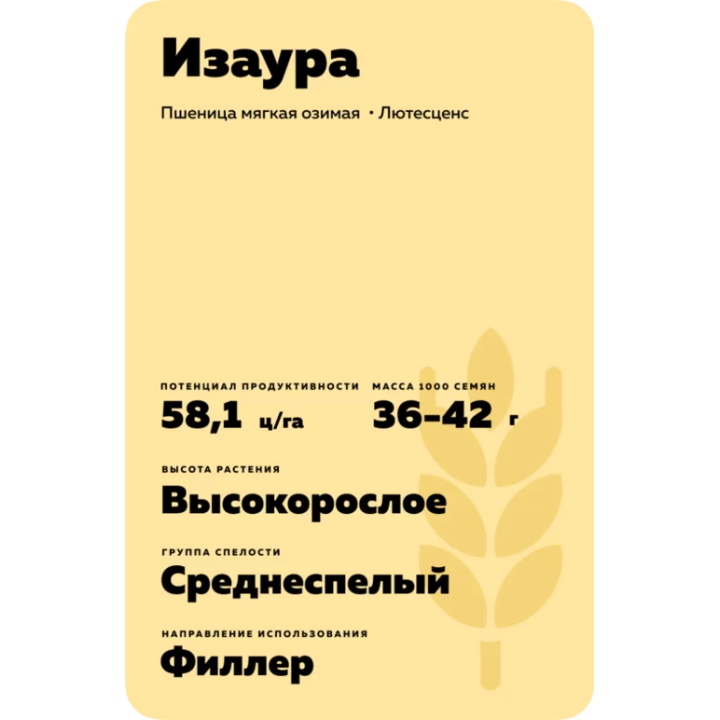 ИЗАУРА