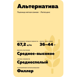 АЛЬТЕРНАТИВА