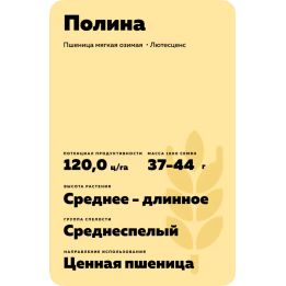 ПОЛИНА