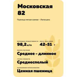 МОСКОВСКАЯ 82