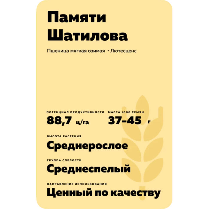 ПАМЯТИ ШАТИЛОВА