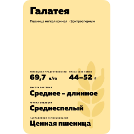 ГАЛАТЕЯ