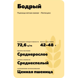 БОДРЫЙ