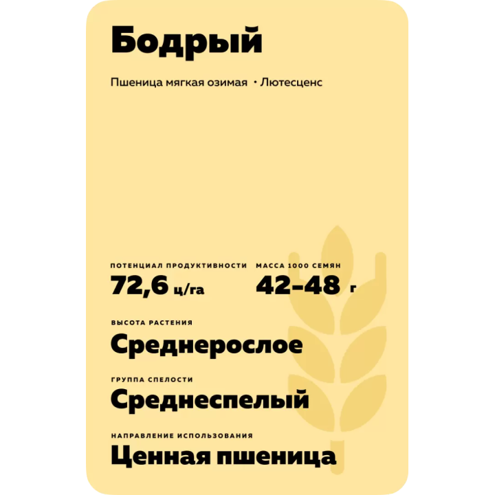 БОДРЫЙ