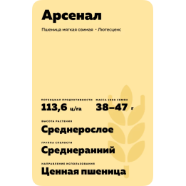 АРСЕНАЛ