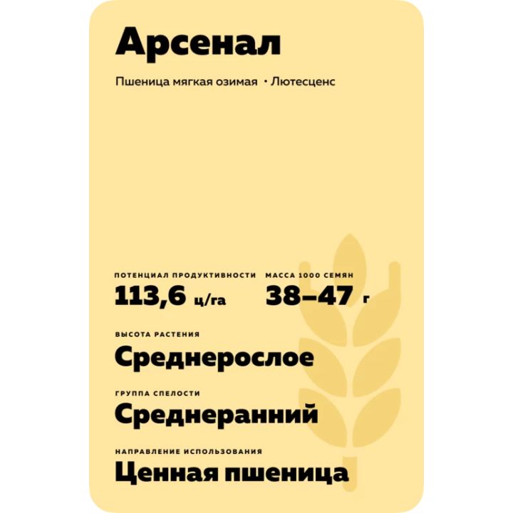 АРСЕНАЛ