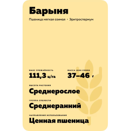 БАРЫНЯ