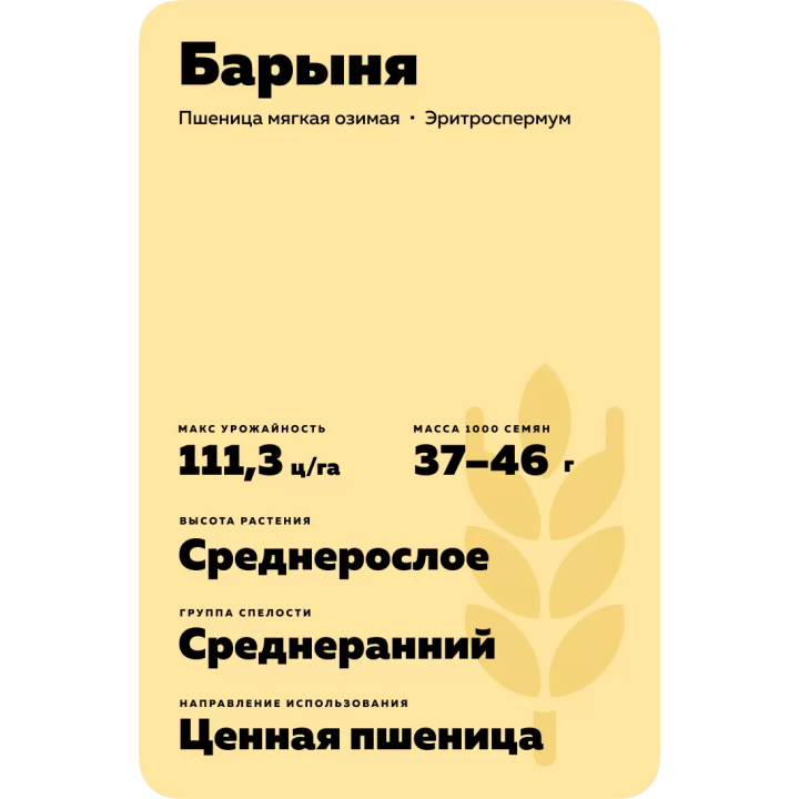 БАРЫНЯ