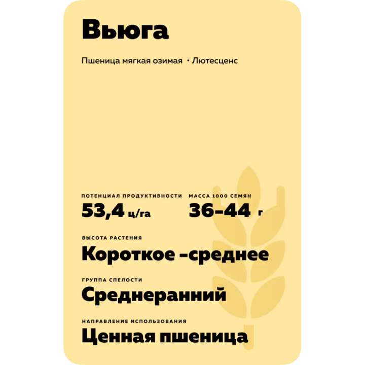 ВЬЮГА