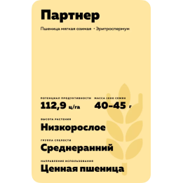 ПАРТНЕР