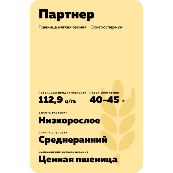ПАРТНЕР