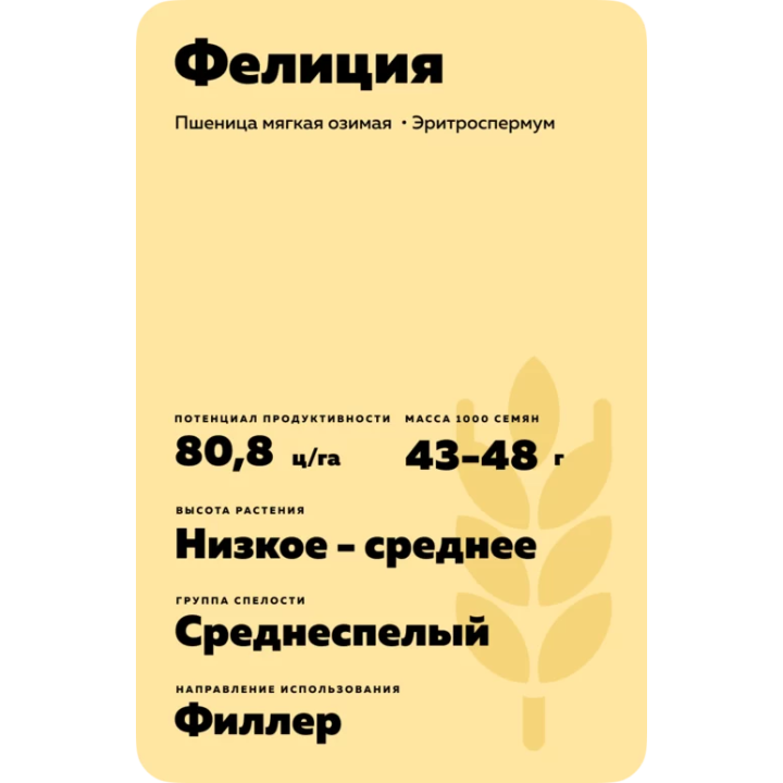 ФЕЛИЦИЯ