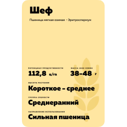 ШЕФ