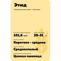 ЭТЮД