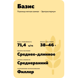 БАЗИС