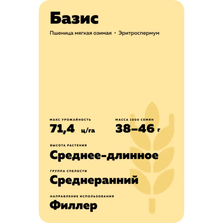 БАЗИС