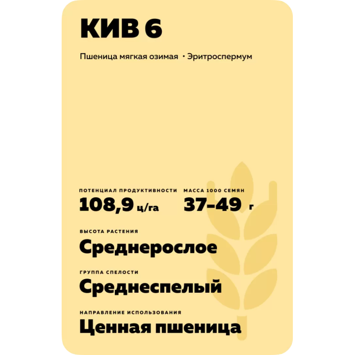 КИВ 6