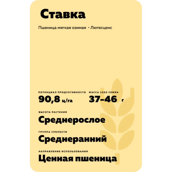 СТАВКА