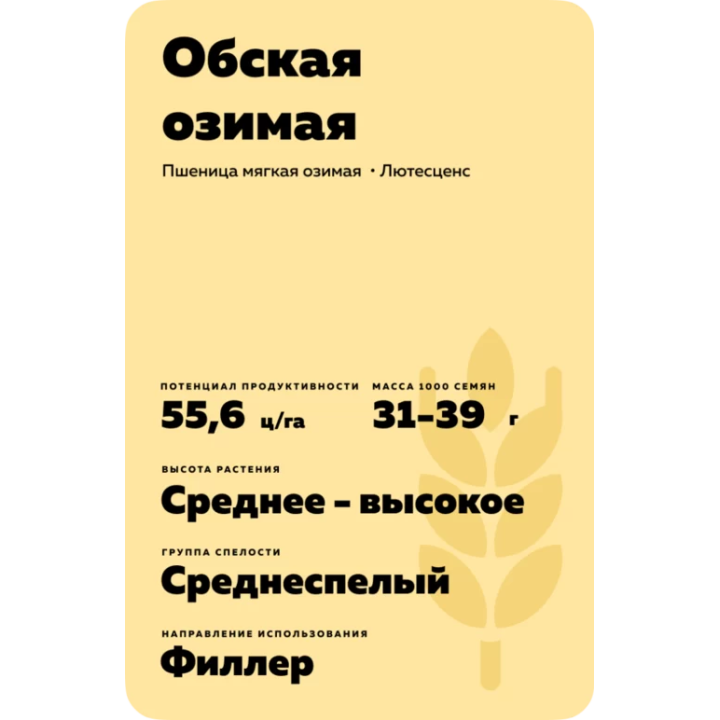 ОБСКАЯ ОЗИМАЯ