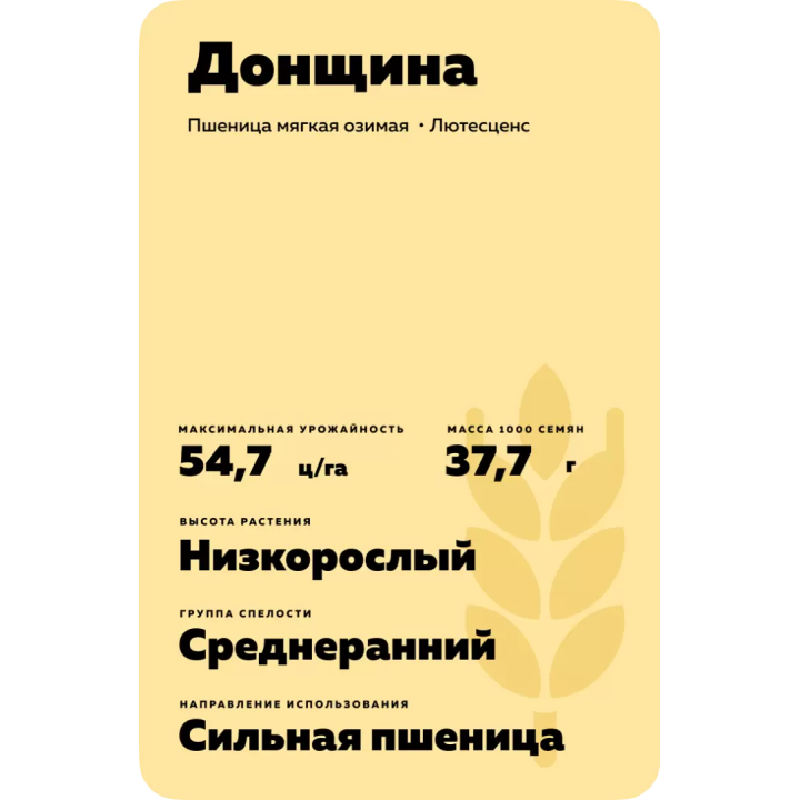 ДОНЩИНА