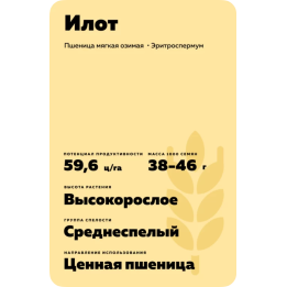 ИЛОТ