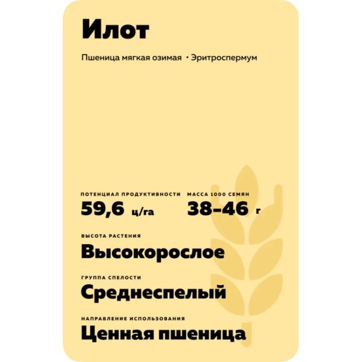ИЛОТ