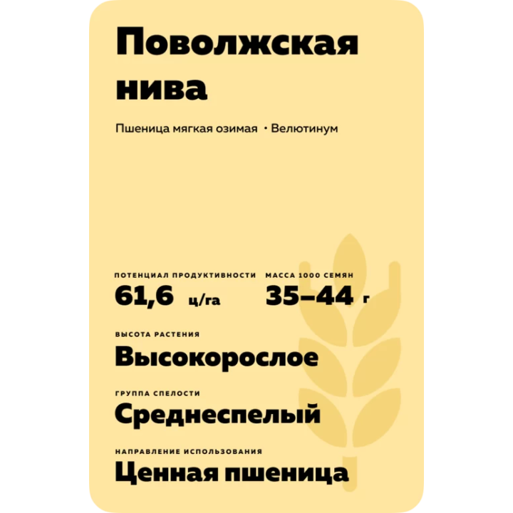 ПОВОЛЖСКАЯ НИВА