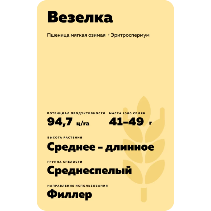 ВЕЗЕЛКА