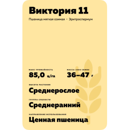 ВИКТОРИЯ 11