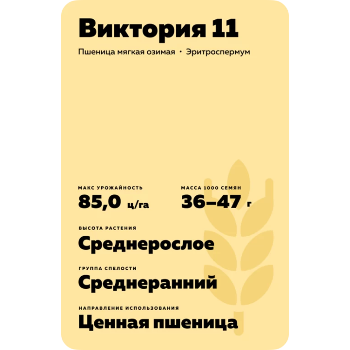ВИКТОРИЯ 11