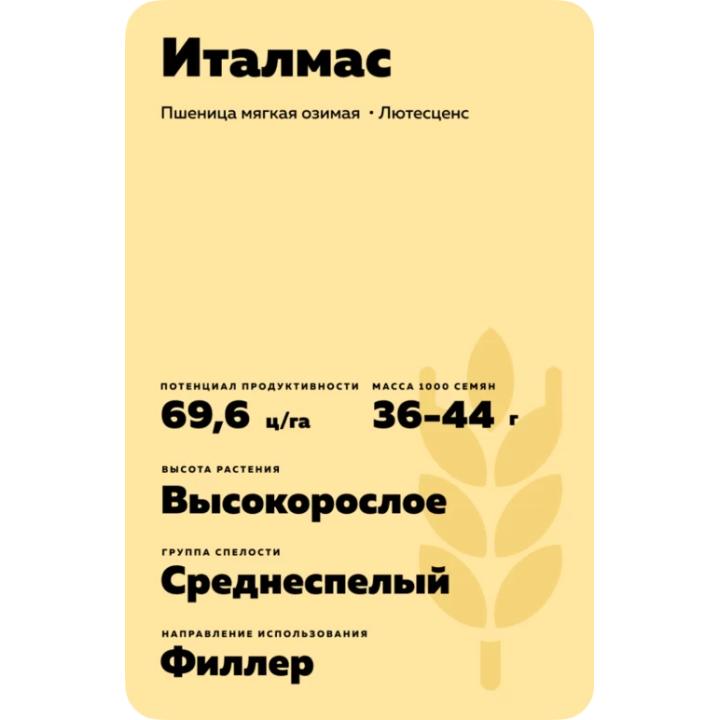 ИТАЛМАС