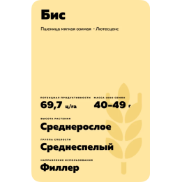 БИС