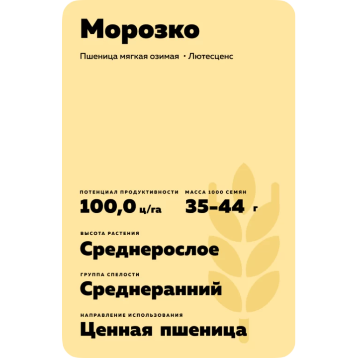 МОРОЗКО