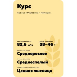 КУРС