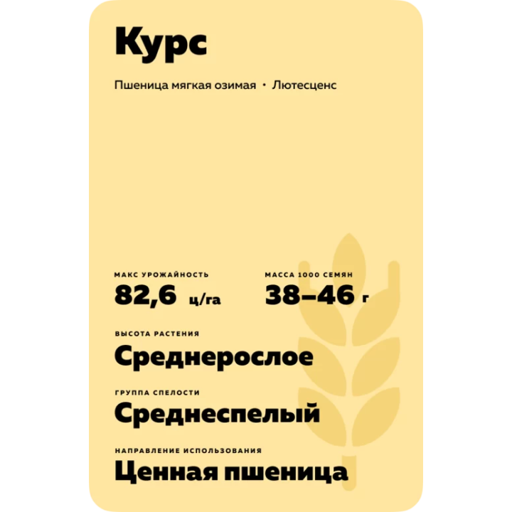 КУРС