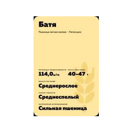 КАМЫШАНКА 6