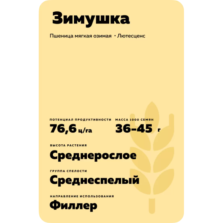 ЗИМУШКА
