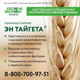 СЛОБОДА