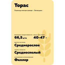ТОРАС