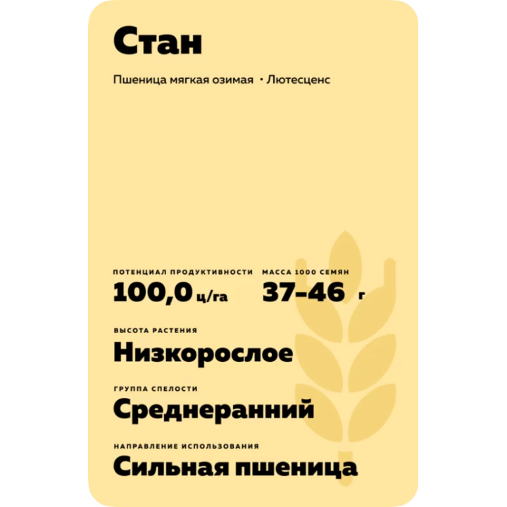УСТИВИЦА