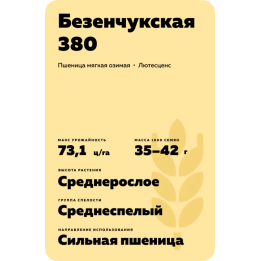 БЕЗЕНЧУКСКАЯ 380