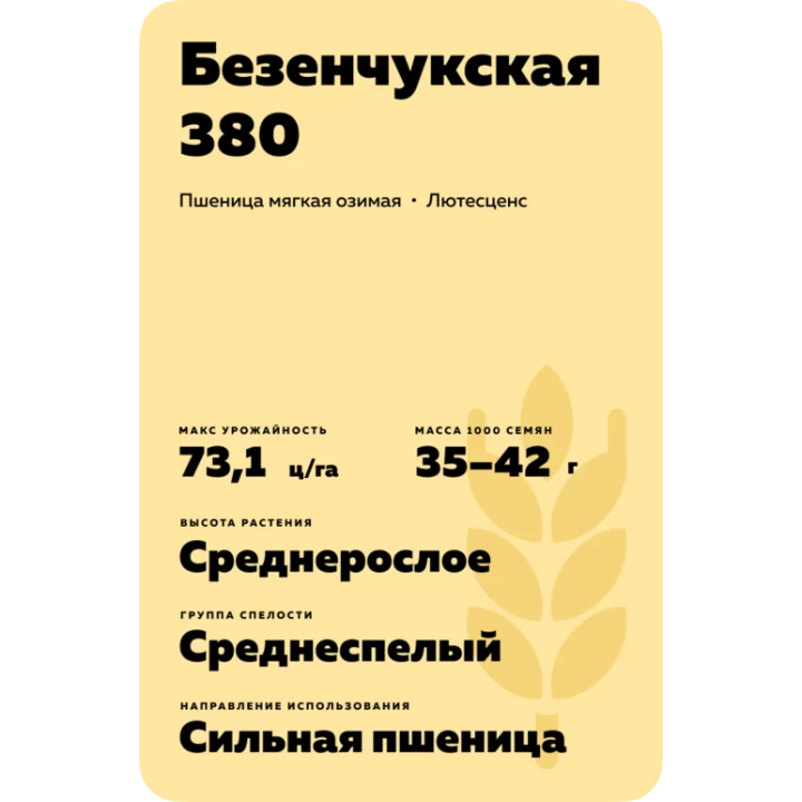 БЕЗЕНЧУКСКАЯ 380