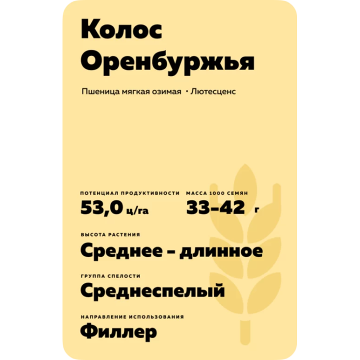 КОЛОС ОРЕНБУРЖЬЯ