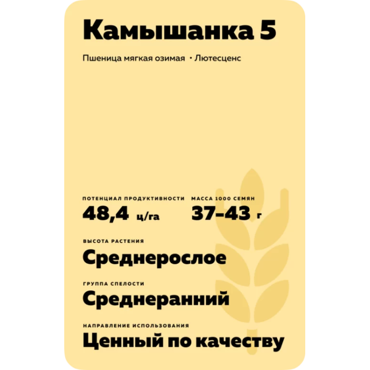 КАМЫШАНКА 5